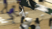 Intro Gotribe GIF by William & Mary Tribe Athletics