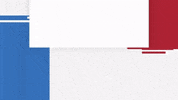 Wfaavote Votetexas GIF by WFAA
