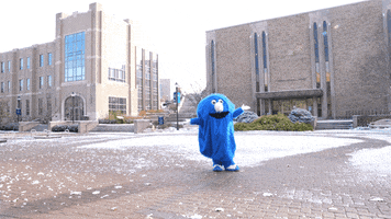 Xavier Musketeers Cincinnati GIF by Xavier University