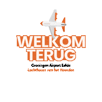 Holiday Plane Sticker by Groningen Airport Eelde