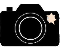 Photo Camera Sticker by The Key Item