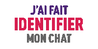 I-CAD cat chat chaton identification Sticker
