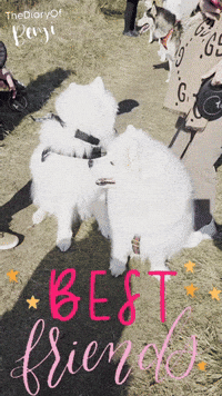 Friends Love GIF