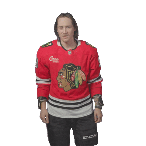 Tyler Bertuzzi Chicago Sticker by NHLBlackhawks