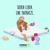 GIF by HONGi Faultiermatratze