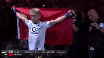 Mixed Martial Arts Sport GIF by UFC