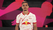 Oh No Rbl GIF by Bundesliga
