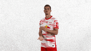 Celebrate Happy Birthday GIF by RB Leipzig