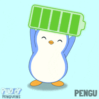 Penguin Energy GIF by Pudgy Penguins