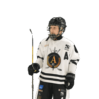 alfahockey хоккей хоккеист альфа хоккейспб Sticker