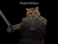 Banging Mei Mei GIF