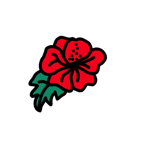 fun flowers Sticker by Ivo Adventures