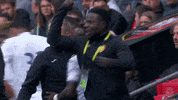 proud lets go GIF by Toulouse Football Club