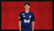 Schalke 04 Football GIF by Bundesliga