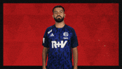 Schalke 04 Football GIF by Bundesliga
