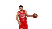 Bouncing Liga Endesa Sticker by ACB