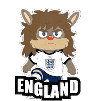 World Cup Football Sticker