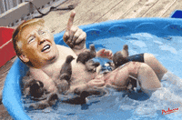 Trimp GIF by PEEKASSO