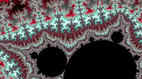Benoit Mandelbrot Visuals GIF by xponentialdesign