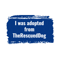 Trd Sticker by The Rescued Dog