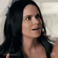 Pop Tv Smile GIF by Schitt's Creek