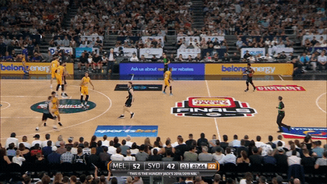 GIF by NBL