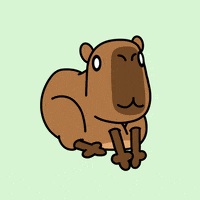 thecapycode happy smile cartoon sweet GIF