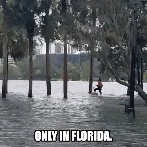 Only in Florida