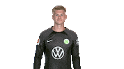 Football Thumbs Up Sticker by VfL Wolfsburg