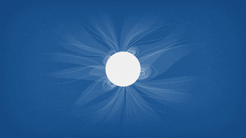 GIF by The University of Chicago