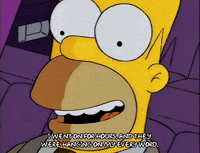 homer simpson episode 22 GIF