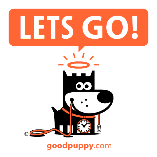 Happy Lets Go GIF by GOOD PUPPY