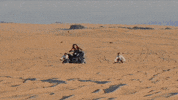 la luz GIF by Hardly Art