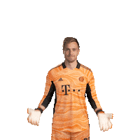 Waving Lets Go Sticker by FC Bayern Munich