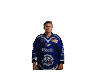 Alexgreen Sticker by Straubing Tigers