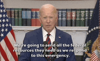 Joe Biden GIF by GIPHY News