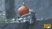 Thanksgiving Pumpkins GIF by Brookfield Zoo