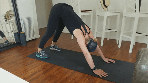 jackrabbit22 giphyupload GIF