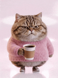 Cat Coffee GIF