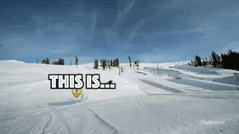 paiginglauren giphyupload GIF