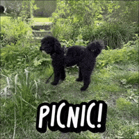Picnic Troubleshooting GIF