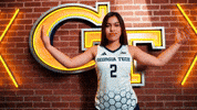 Georgia Tech Volleyball GIF by Georgia Tech Yellow Jackets
