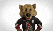 Happy Arizona Coyotes GIF by NHL