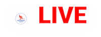 AussizzGroup live session information session session live aussizz group live session Sticker