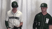 Collegebaseball GIF by RiverHawk Sports