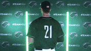 Baseball GIF by RiverHawk Sports