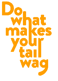 Happy Cat Sticker by Membership Geeks