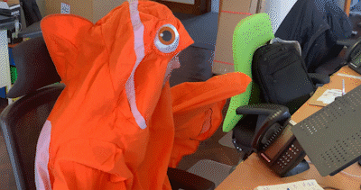 Fish What GIF by Sleeping Giant Media