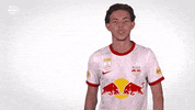 Happy Red Bull GIF by FC Red Bull Salzburg