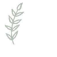 Flower Plant Sticker by Jugendtagung